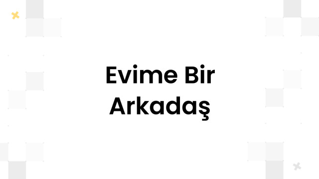 Evime Bir Arkadaş