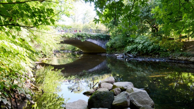 Explore the Bronx River Greenway (not for faint hearted)