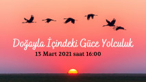 Doğayla İçindeki Güce Yolculuk