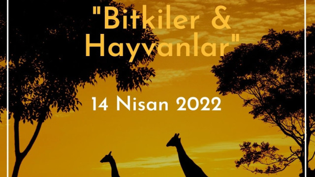 Ramazan Etkinlikleri 2 - "Bitkiler & Hayvanlar"