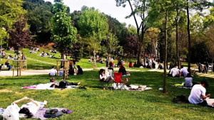 Maçka'da Buluşalım