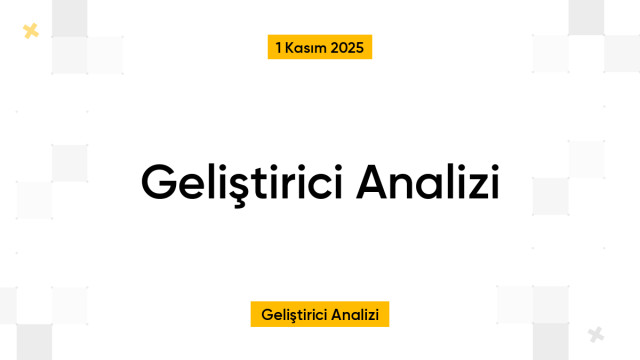 Geliştirici Analizi