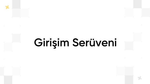 Girişim Serüveni