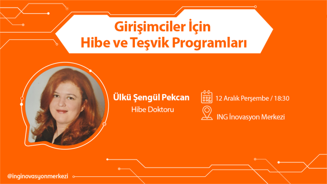 Girişimciler İçin Hibe ve Teşvik Programları