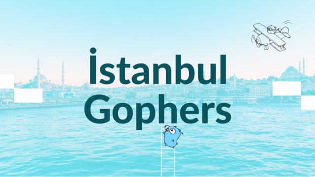İstanbul Gophers