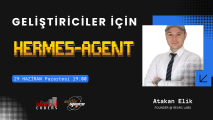Geliştiriciler İçin Hermes Agent