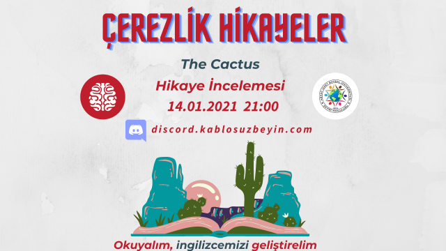 Çerezlik Hikayeler