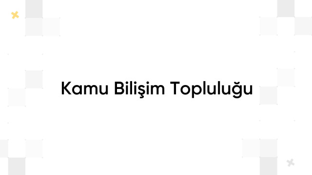 Kamu Bilişim Topluluğu