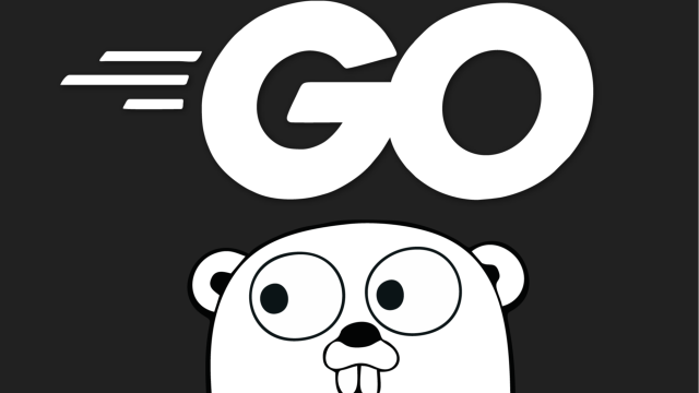 Golang For Hackers #1 - Hello Security