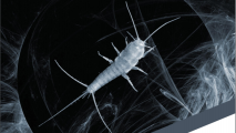 Operation SilverFish : Uluslararası Bir Siber Casusluk Operasyonu