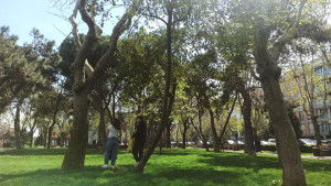 event-photo-0