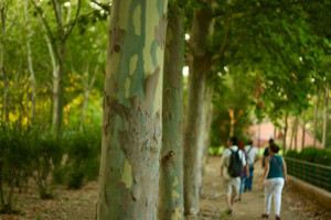 event-photo-2