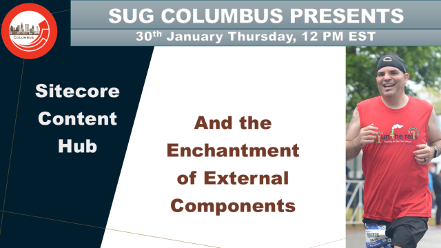 Sitecore Content Hub and the Enchantment of External Components