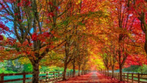 Fall Wreath Making Class