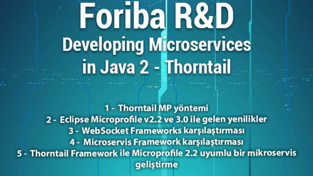 Developing Microservices in Java 2 - Thorntail