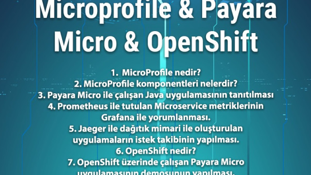 Microprofile & Payara Micro & OpenShift