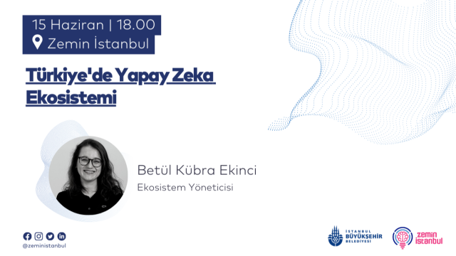 Türkiye'de Yapay Zeka Ekosistemi