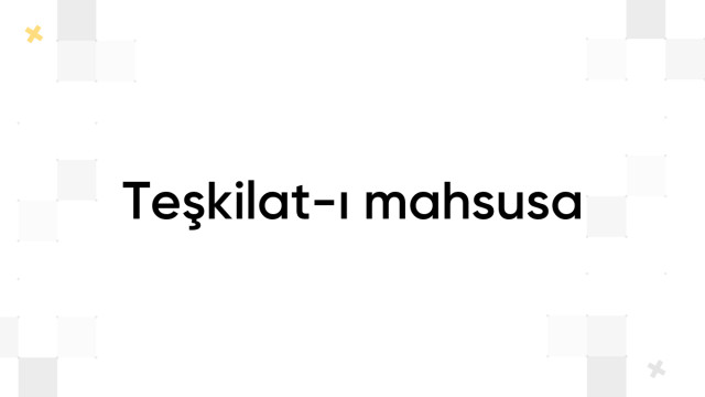 Teşkilat-ı mahsusa