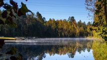 1st Saturday Hike: Brumley Trails
