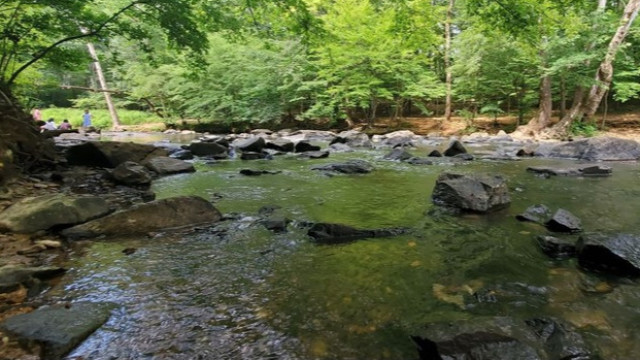 1st Saturday Hike: Eno River State Park: Cox Mountain Trail