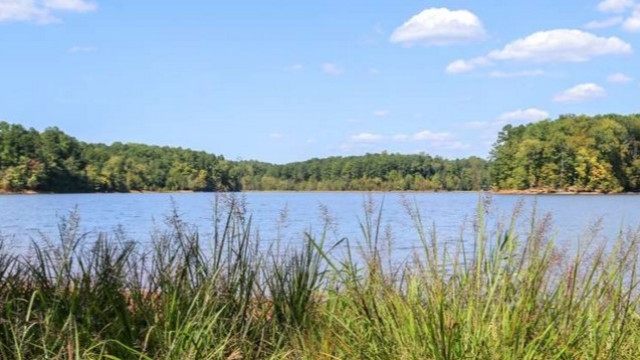 1st Saturday Hike - Forest Ridge Park