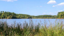 1st Saturday Hike - Forest Ridge Park