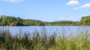 1st Saturday Hike - Forest Ridge Park