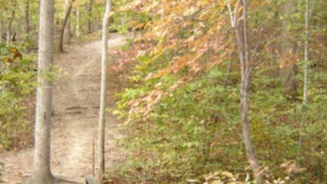 1st Saturday Hike - Sal's Branch Umstead Park