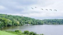 1st Saturday Hike - Shelley Lake