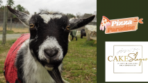 Tour at Piedmont Farm Animal Refuge
