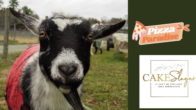 Tour at Piedmont Farm Animal Refuge
