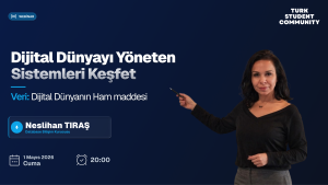Veri: Dijital Dünyanın Ham Maddesi