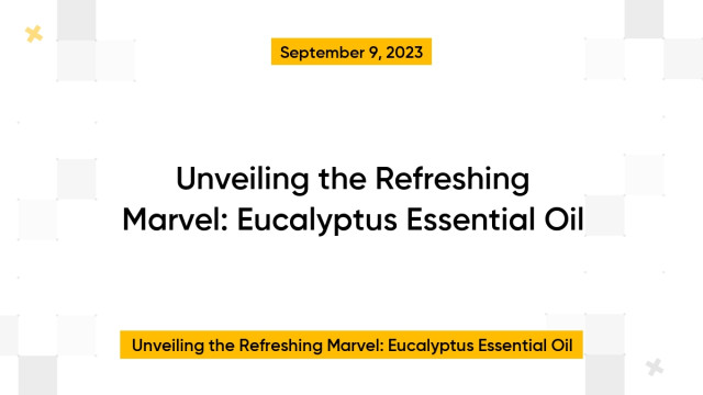 Unveiling the Refreshing Marvel: Eucalyptus Essential Oil