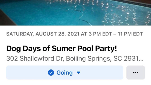 Dog Days of Summer Pool Party