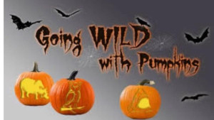 Pumpkin Carving Competition