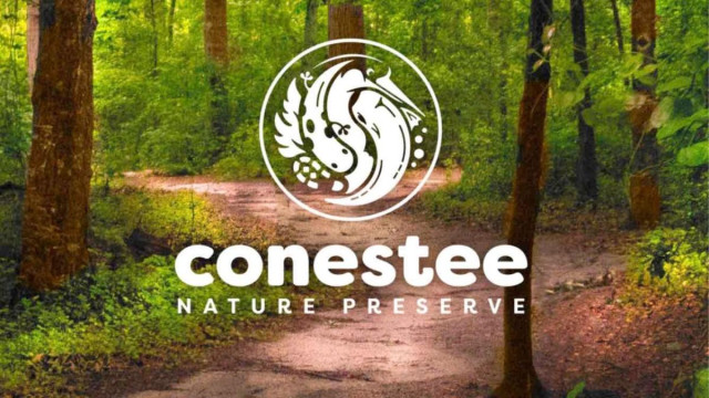 Conastee State Park Picnic