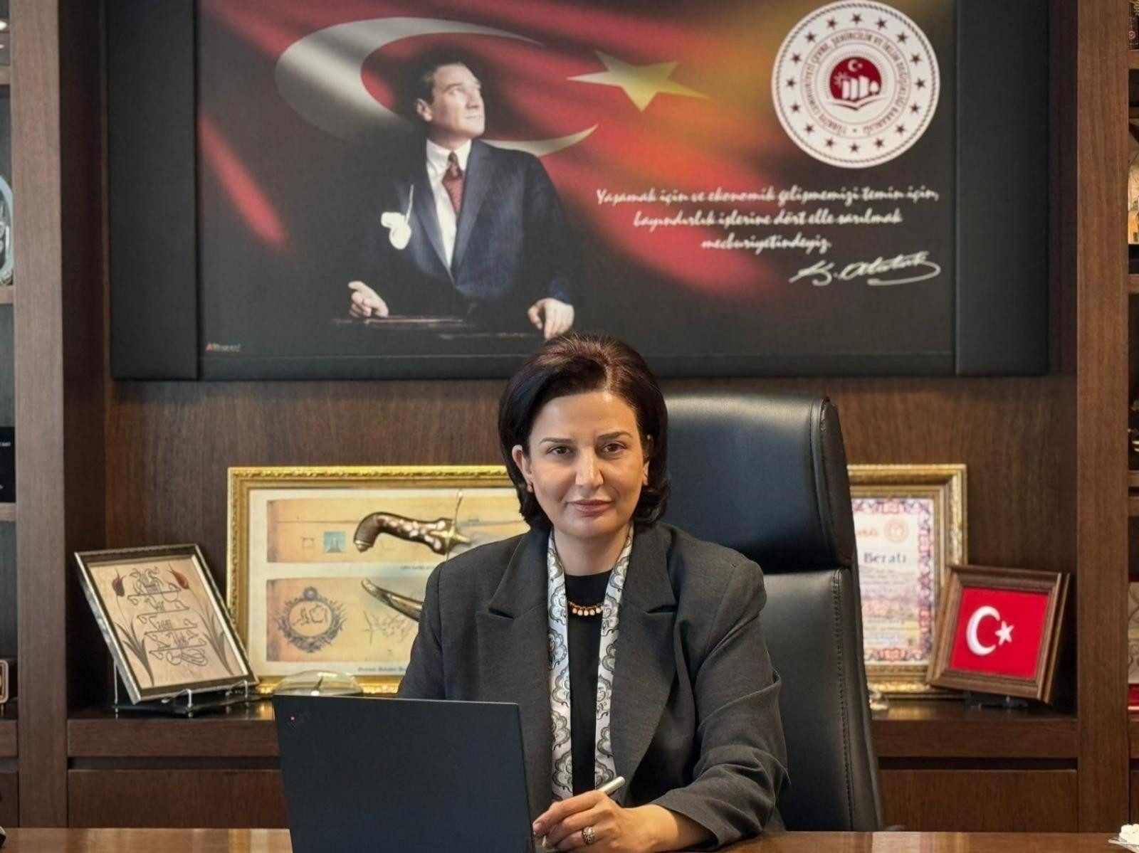 Banu Aslan
