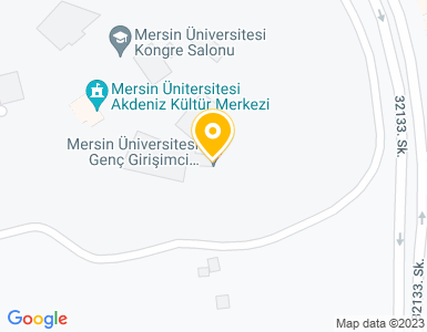 Mersin Üniversitesi Genç Girişimci Merkezi - Girişim Limanı