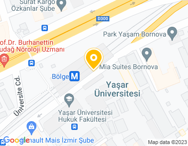 Yaşar Üniversitesi