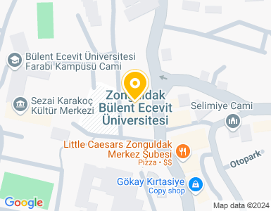 Zonguldak Bülent Ecevit Üniversitesi