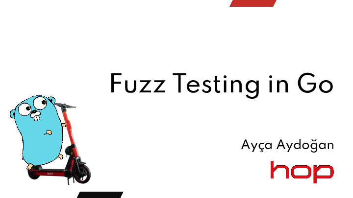 Fuzz Testing in Go