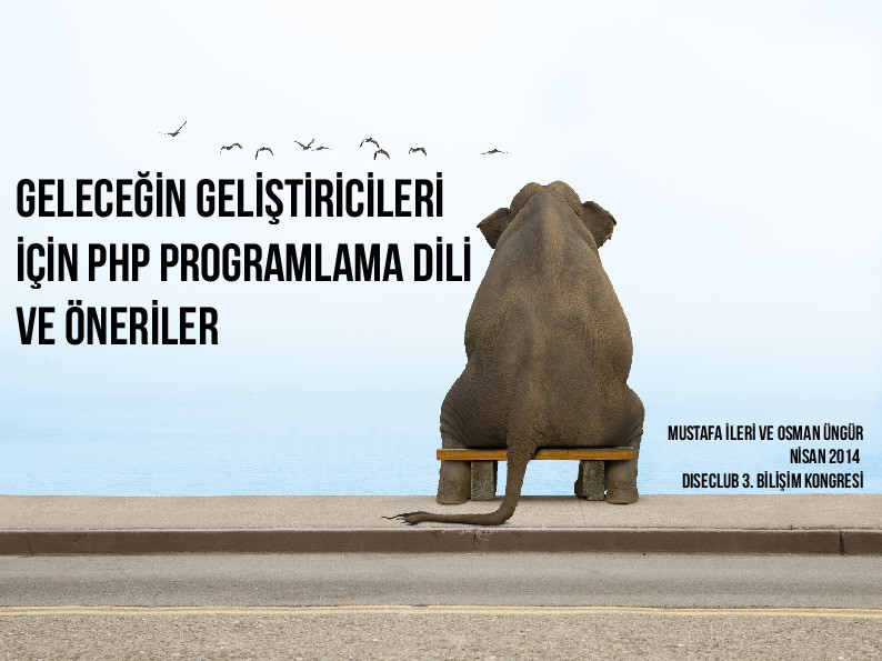 Geleceğin Geliştiricileri İçin PHP Programlama Dili ve Öneriler